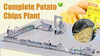 Automatic Potato Chips Processing Plant | Affordable Potato Chips Processing Business