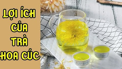 Uống Trà hoa cúc khô có tác dụng gì? Trà hoa cúc mua ở đâu tốt nhất | Vabuta
