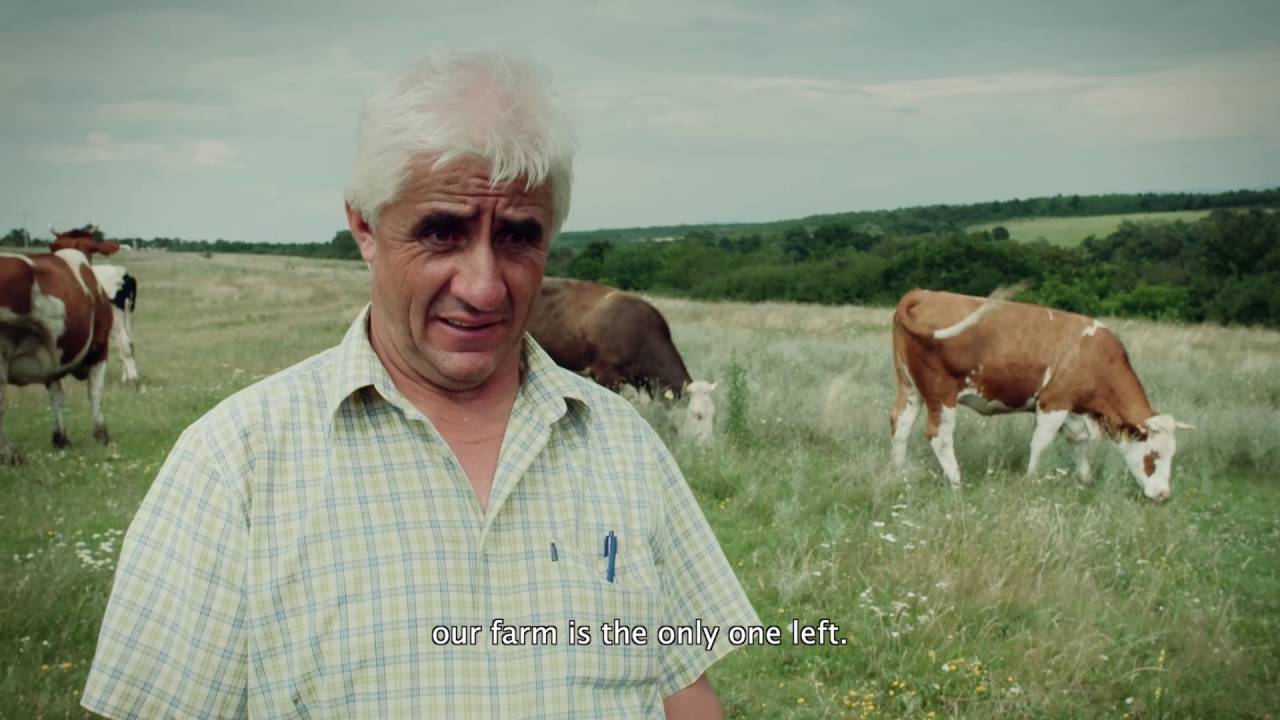 Trailer Land Grabbing (dirigido por Kurt Langbein)