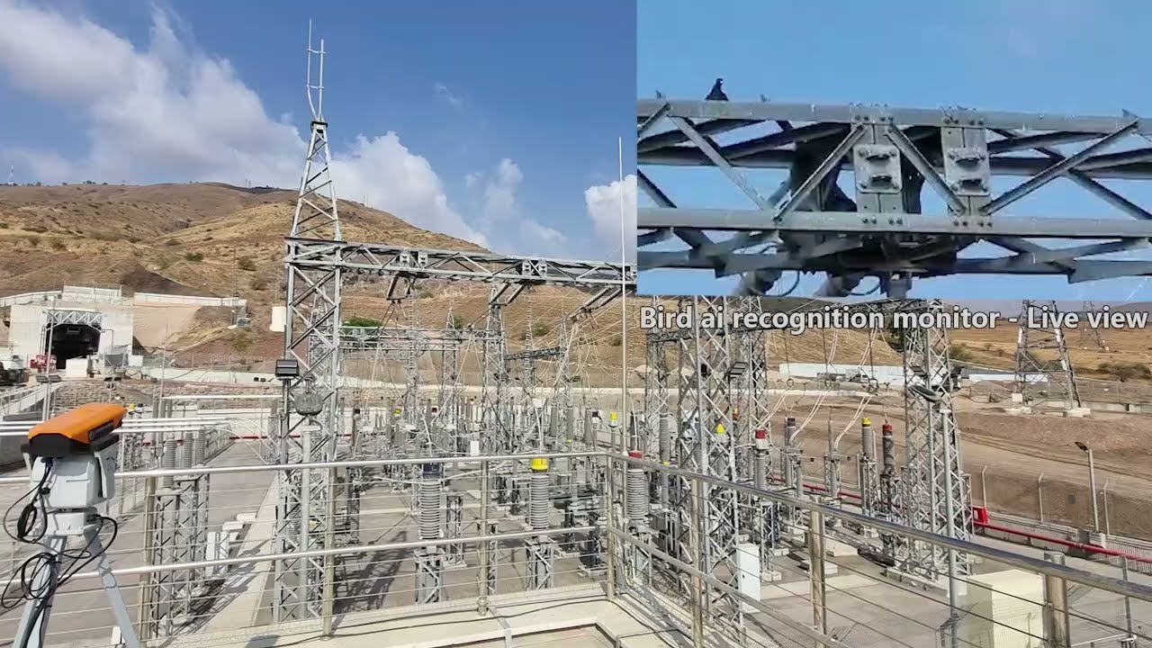 Syron Hawk - Elite Bird Control