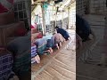 মসজিদের অভাবে মানুষ নামাজ আদায় করতে পারছে না #mosque #shorts #prayer