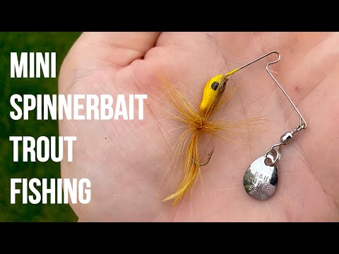 Fishing for Trout with TINY Spinnerbaits! 