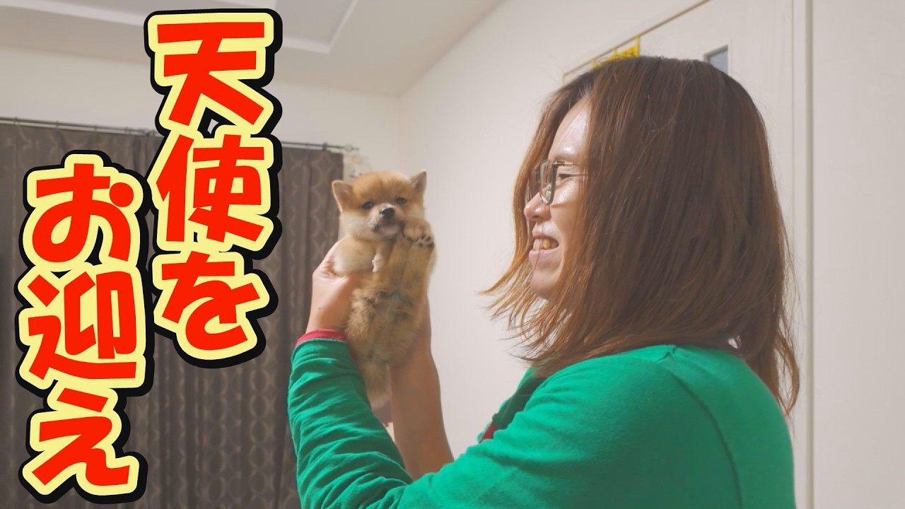 触れると壊れそうなくらい小さな天使が、わが家にやって来ました。