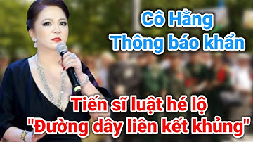 Tiến sĩ luật tiết lộ đường dây khủng vụ cô Hằng | Gấc Việt
