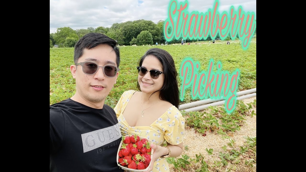 Strawberry Picking // Exploring Nova Scotia // Canadian nga Hilaw