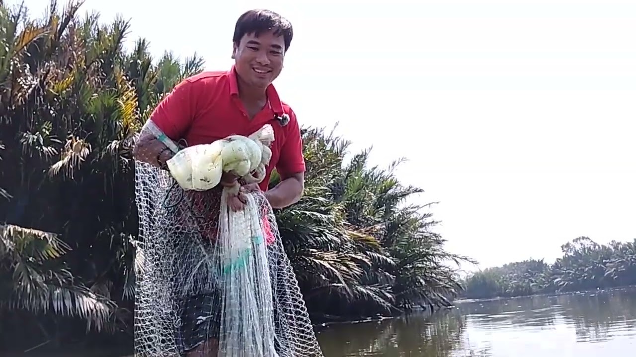 Mẻ Chài Hên Xui – Cá Tra Không Thấy, Rô Phi Lại Nhiều