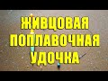 Живцовая поплавочная удочка. Монтаж поплавочной снасти для ловли на живца