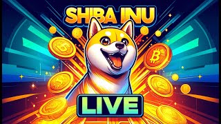 Shiba Inu Live