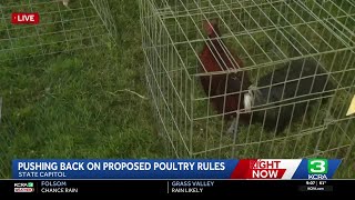 California bill limits number of roosters a person can keep