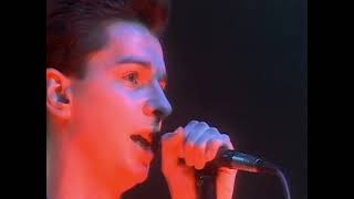 Depeche Mode - 1981 Tour: The Last Concert With Vince Clarke