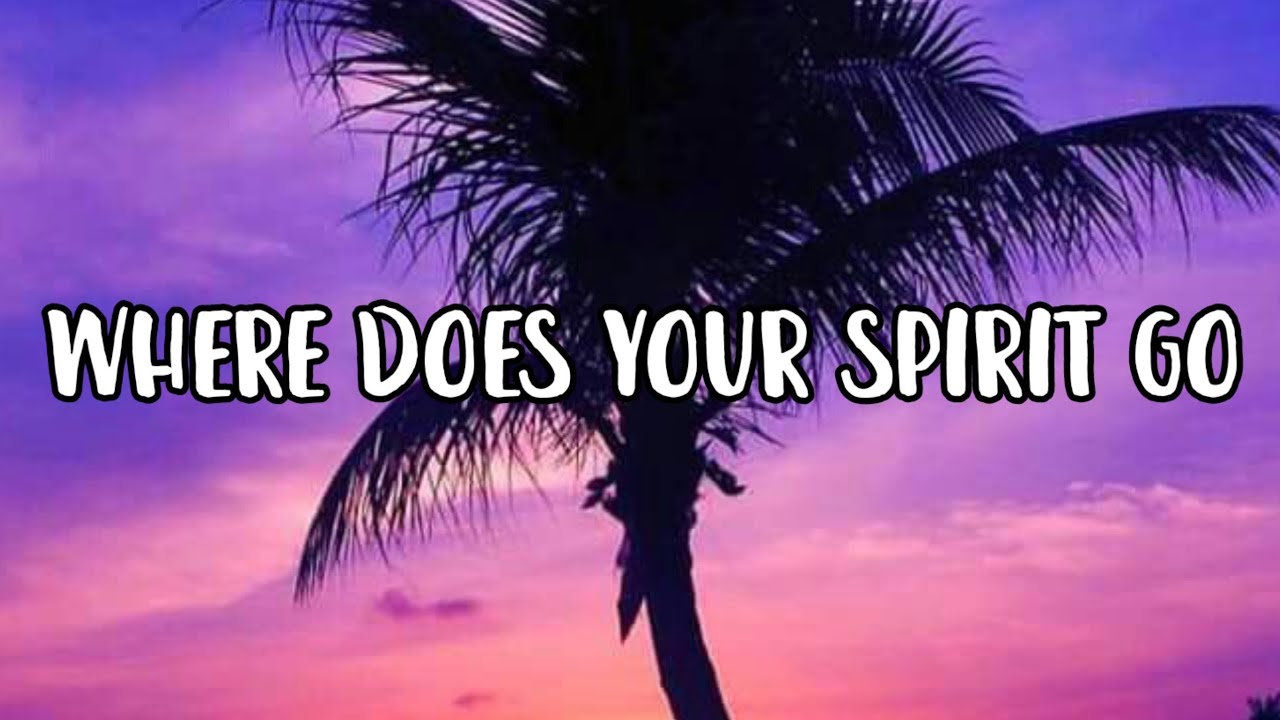 the-kid-laroi-where-does-your-spirit-go-lyrics-youtube