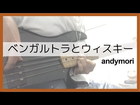 【andymori】ベンガルトラとウィスキー【ベースカバー/弾いてみた】