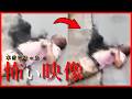 【海外心霊映像・怪奇現象】路上に倒れた男性の胸元に黒い影がいた。死神を捉えた映像