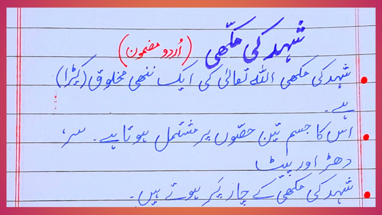 Honey bee | Essay on honey bee | Honey bee essay | 10 lines essay on honey bee | شہد کی مکھی مضمون