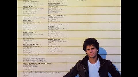 (The One That You Love Is) Here To Stay (1982)