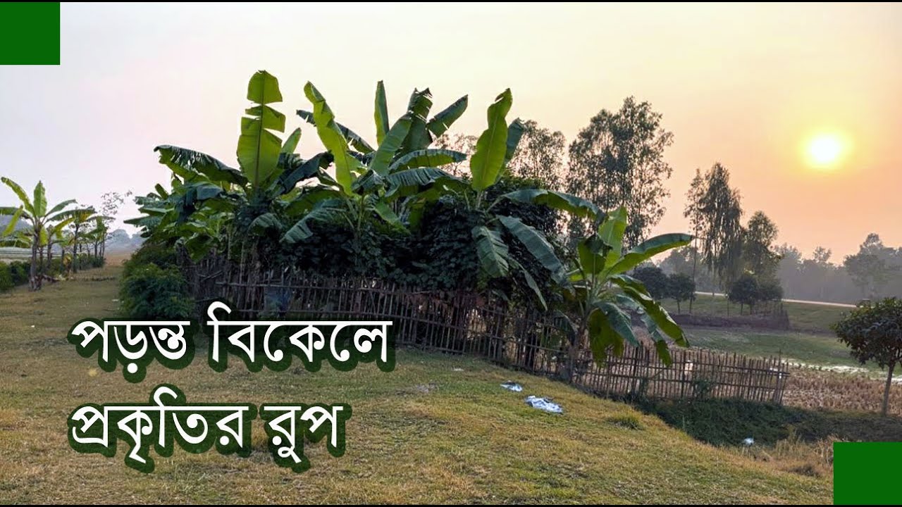 Душевное спокойствие. Созерцая красоту природы поздним вечером, я почувствовал умиротворение. Rak...