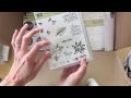 Beginning of video