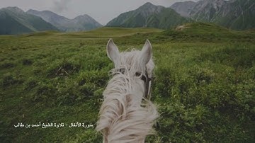 سورة الأنفال كاملة - الشيخ أحمد بن طالب