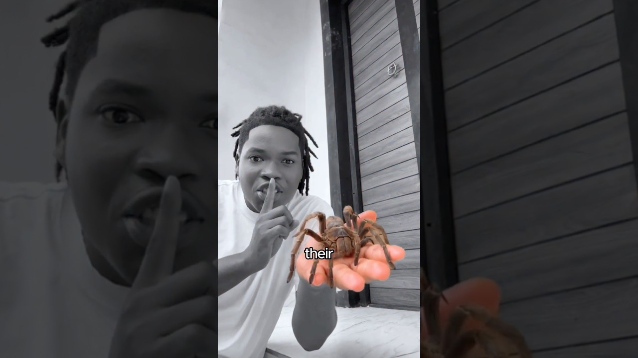 My Siblings BIGGEST FEAR🕷️🤫