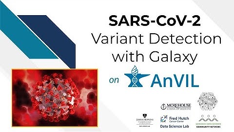 Introduction to SARS-CoV-2 Variant Detection