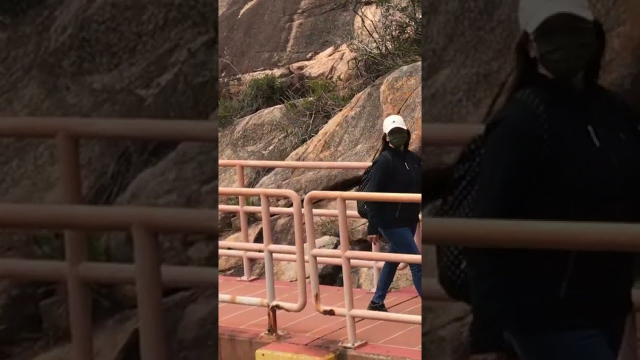 Walking in the Bridge || shorts