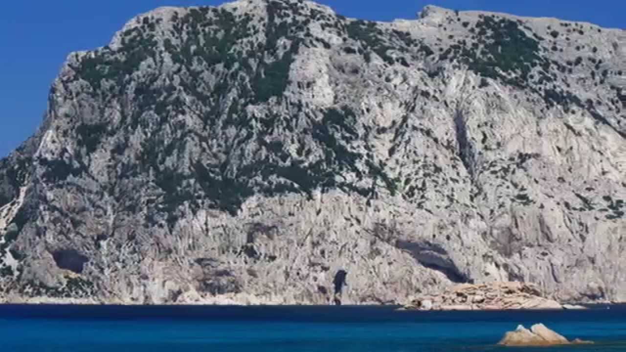 Tavolara, Area Marina Protetta Tavolara Punta Coda Cavallo