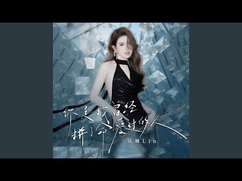 你是我曾经拼了命爱过的人 (DJ九零版)