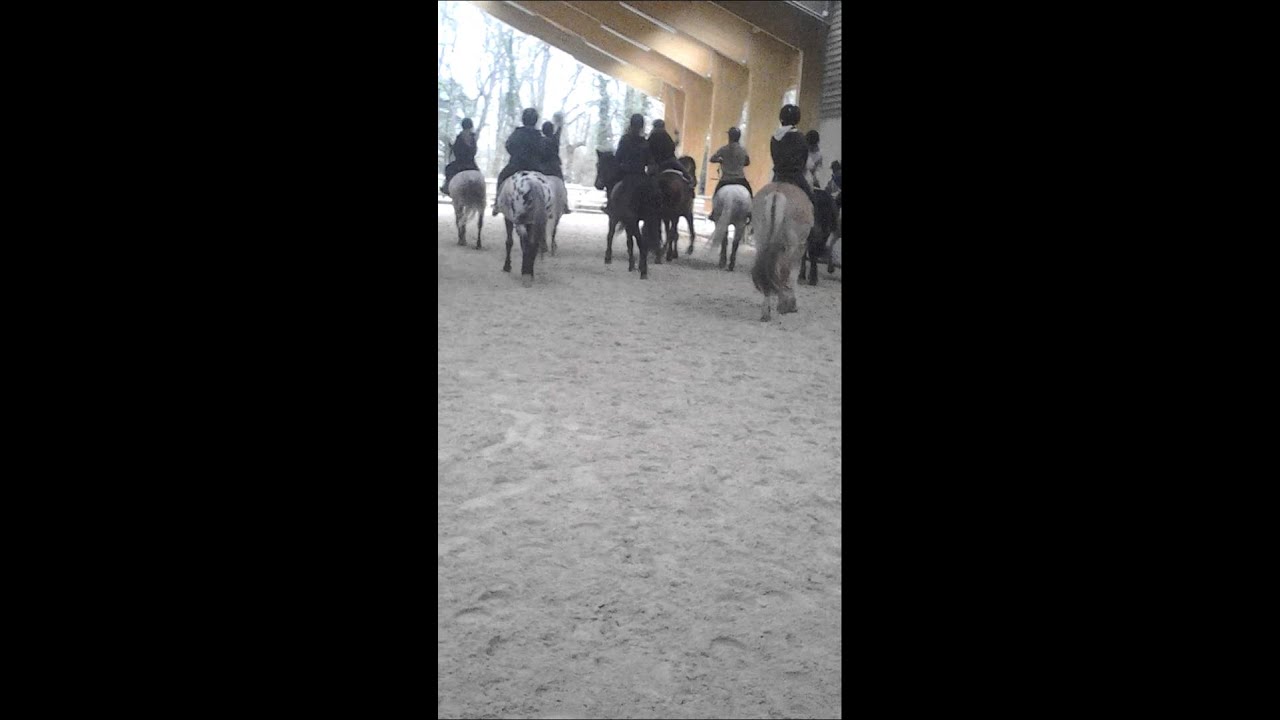 Poney Club Ucpa De Montigny Le Bretonneux