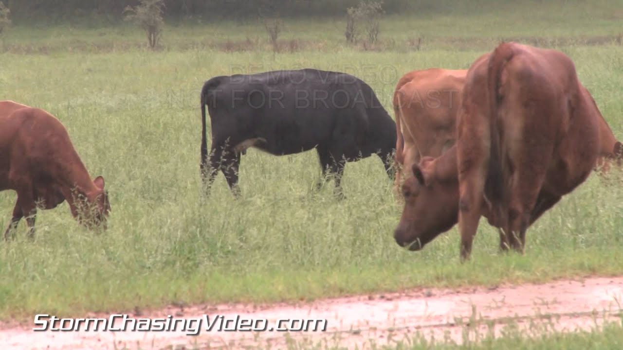 5/14/2014 Danville, AR Petite Jean River Flooding B-Roll