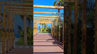 Umbrella Beach Fujairah fujairahbeach uaebeach uaemalayali