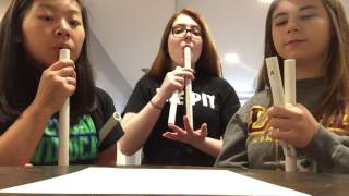 Pan pipe project