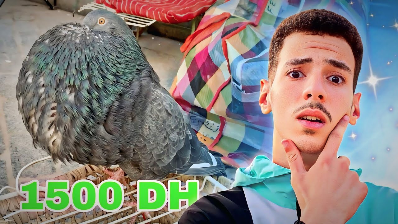 مشينا السوق مايمكنش شنو لقينا ...🤯 | توليعة في سوق فاس اثمن خيالية ما يمكنش اشنو طرا ...