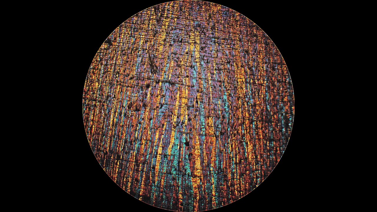 Thrilogy - Evanescence (Omena 2017)