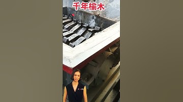 #fcnfm The Shredder That Turns Waste into Valuable Recyclable Resources