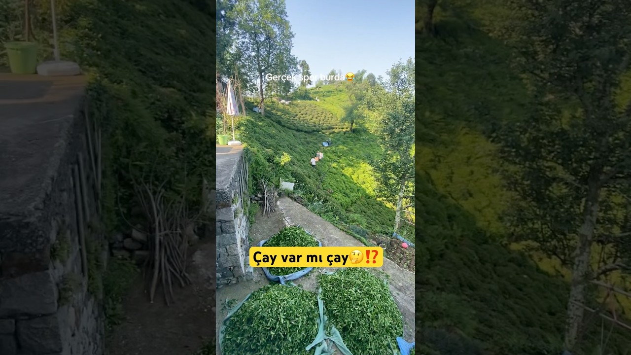 Keyifle içilen çayın kamera arkası 🤔