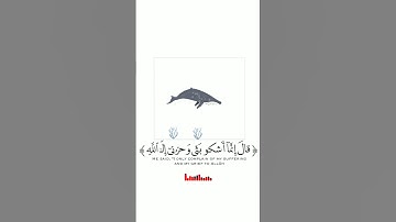أقسم بالله اجمل تلاوة صوت رائع😍
