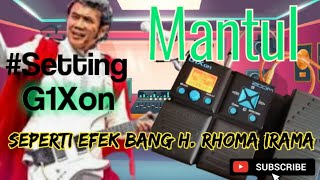 Cara,Setting,Efek Zoom G1Xon||Ala Efek Gitar H. Rhoma Irama