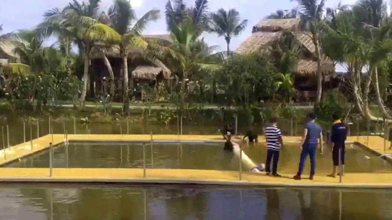 Natural Pool Kunang Kunang Heritage Villas Youtube Kala senja mataku tertutup kabut asap malam pun tiba kunang kunang menghampiriku dan ku terjebak diantara persimpangan nya seperti biasa aku tak pernah bisa memilih. natural pool kunang kunang heritage villas
