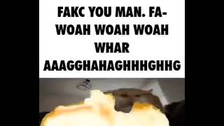 Fakc You Man. Fa- Woah Woah Woah Whar Aaagghahaghhhghhg
