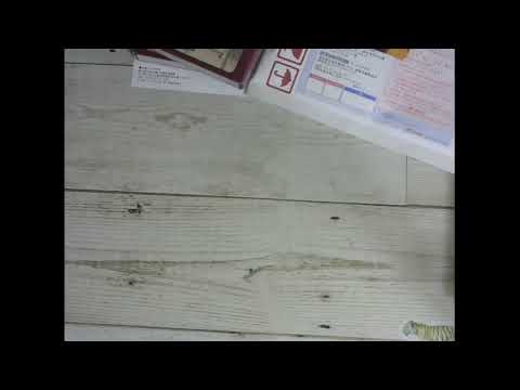 文房具屋さん大赏 (Live録画)報告とお礼ライブ2019/09/22