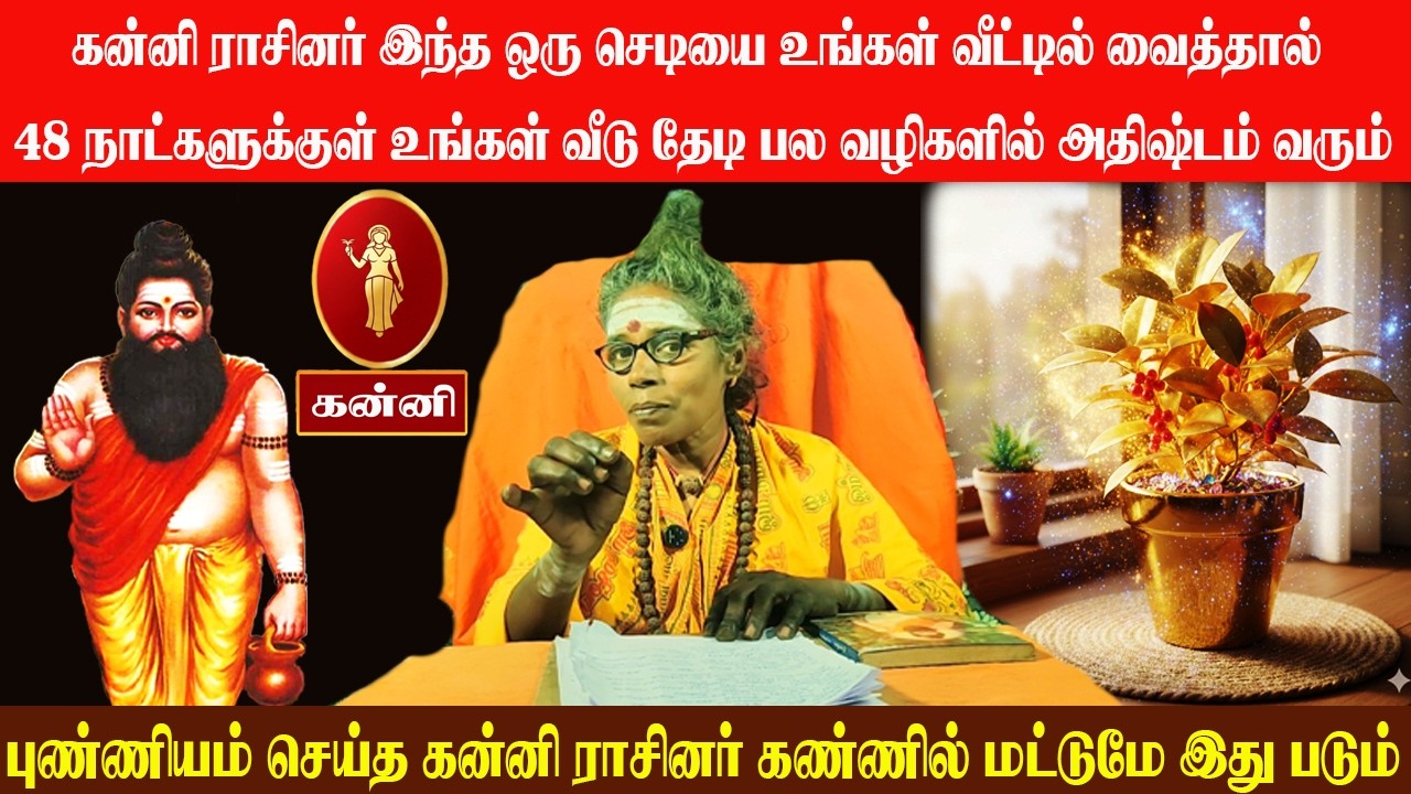 கன்னி ராசினர் இந்த செடியை உங்கள் வீட்டில் வைத்தால் 48 நாட்களுக்குள் உங்கள் வீடு தேடி அதிஷ்டம் வரும்