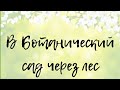 Ботанический сад Варшава. Кабацкий лес. Зеленая Варшава. Жизнь в Польше.