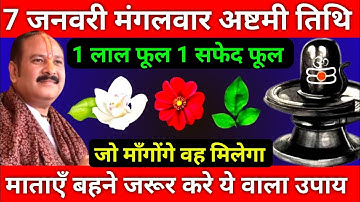 7 जनवरी पौषमास मंगलवार अष्टमी तिथि को 1 लाल फूल 1 सफेद फूल वाला उपाय जरूर करे || Pradeep Ji Mishra