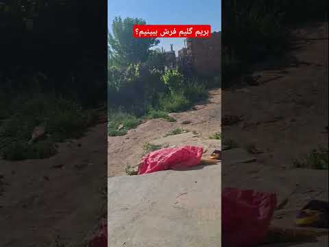 قیمت گلیم فرش انقدر ارزون سجادة