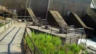 A Visit to Sinclair Dam