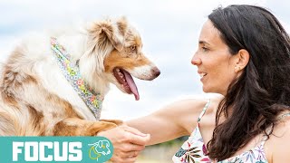 2 exercices de focus et de connexion à faire avec son chien pour renforcer la relation