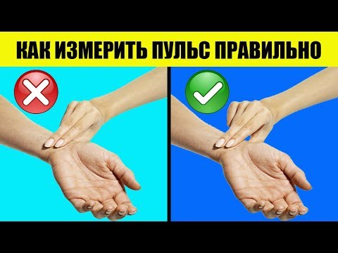 Смотрите Как Правильно Измерить Пульс На Руке