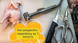 Сколько в день, можно забить перепелов одному человеку?