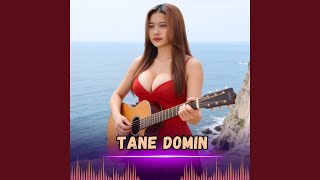 Download Lagu Tane Domin Download Lagu Tane Domin