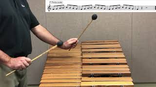 DPM - Primary Level - Term 1 - Mallet Play-along